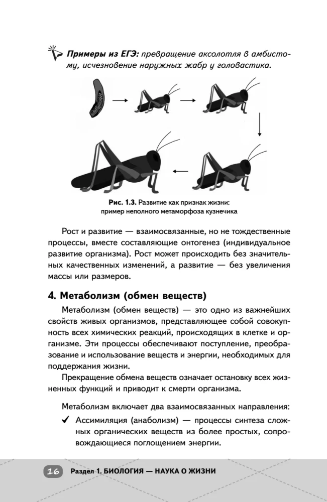 EKA. Bioloogia. Intensiiivne kursus