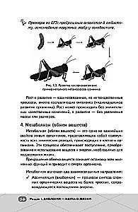 EKA. Bioloogia. Intensiiivne kursus