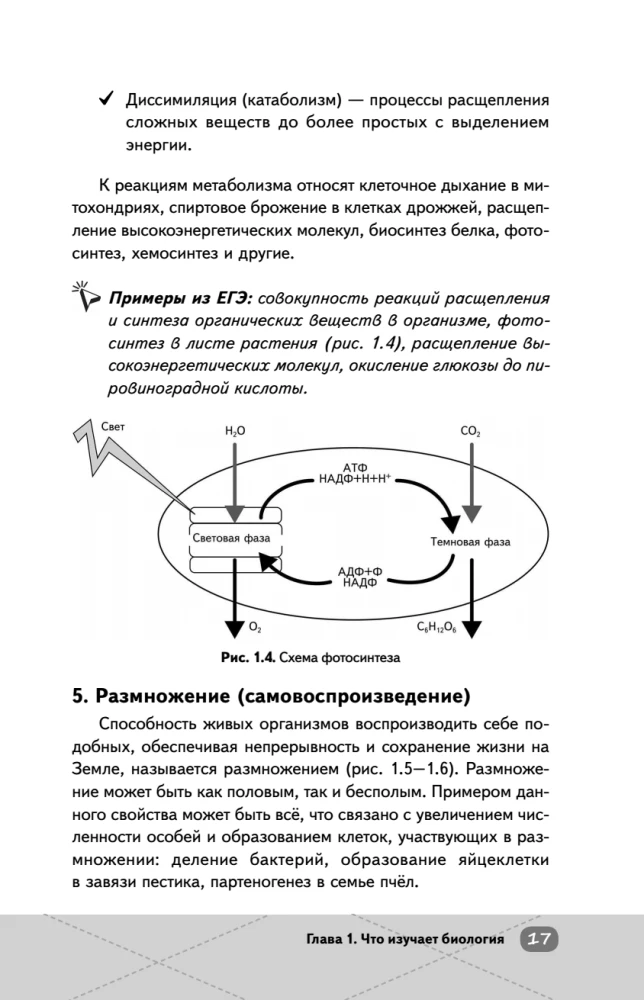 EKA. Bioloogia. Intensiiivne kursus
