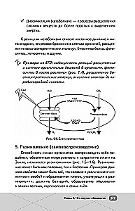 EKA. Bioloogia. Intensiiivne kursus