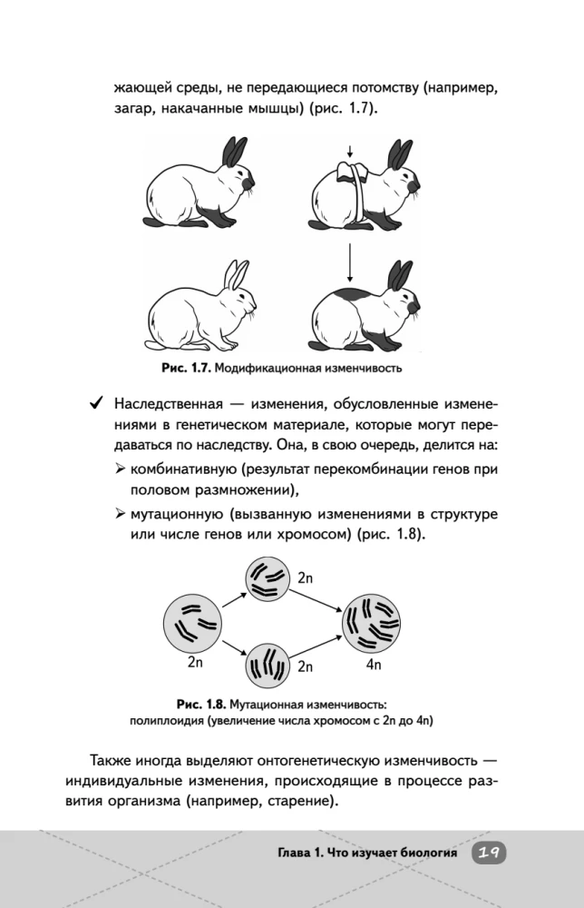EKA. Bioloogia. Intensiiivne kursus