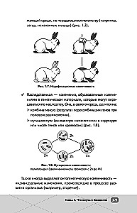 EKA. Bioloogia. Intensiiivne kursus