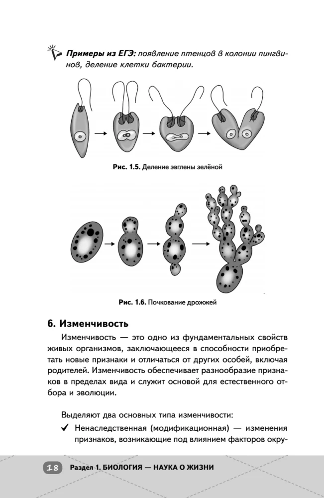 EKA. Bioloogia. Intensiiivne kursus