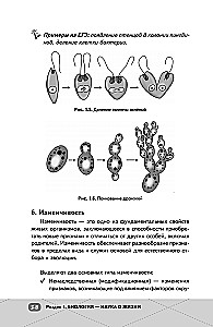 EKA. Bioloogia. Intensiiivne kursus