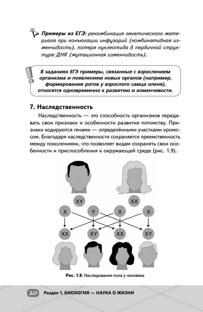 EKA. Bioloogia. Intensiiivne kursus
