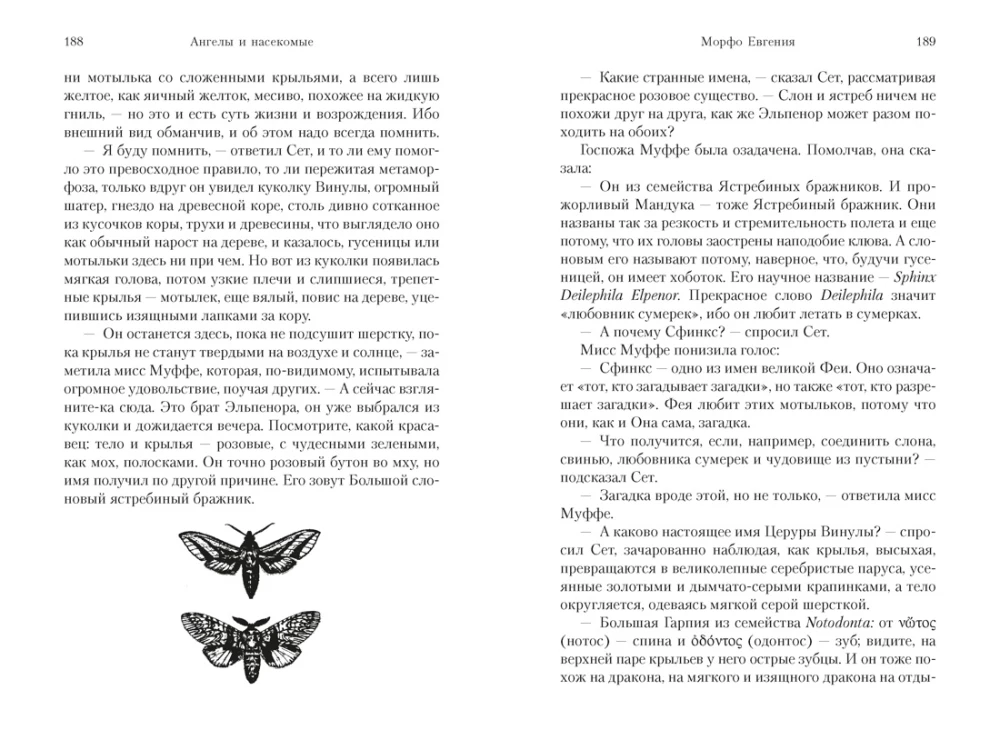 Angels and Insects