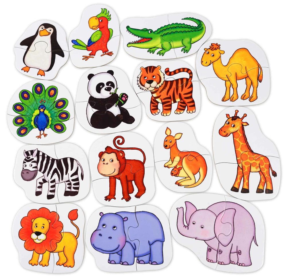 IQ Dėlionė. Tokia zoologija