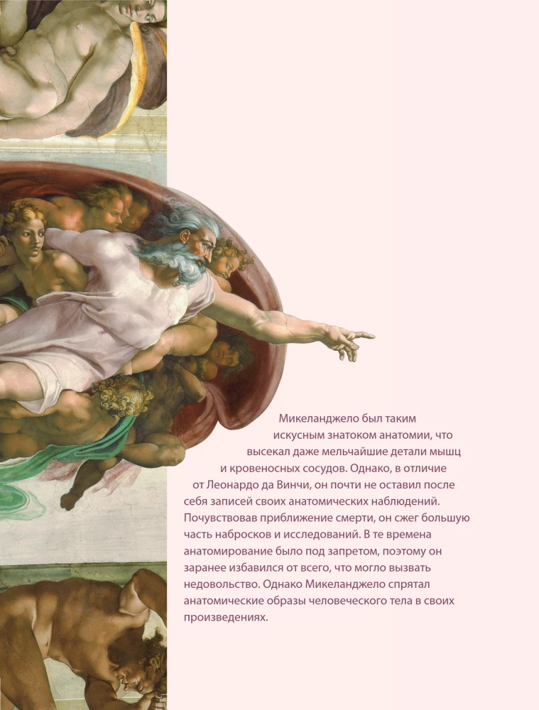Anatomie der Meisterwerke. Was der Arzt sieht, wo andere nur Kunst sehen