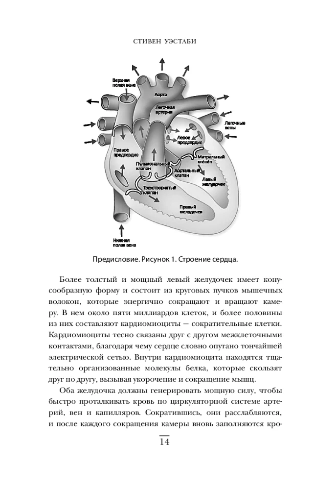 Kirurgid, pühakud ja psühhopaatid. Kriminaalne meditsiini ajalugu