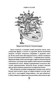 Kirurgid, pühakud ja psühhopaatid. Kriminaalne meditsiini ajalugu