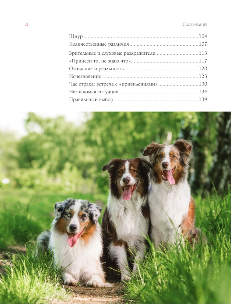 The Key to Your Dog's Character. How to Understand Your Pet's Thinking Through Play and Unleash Its Potential