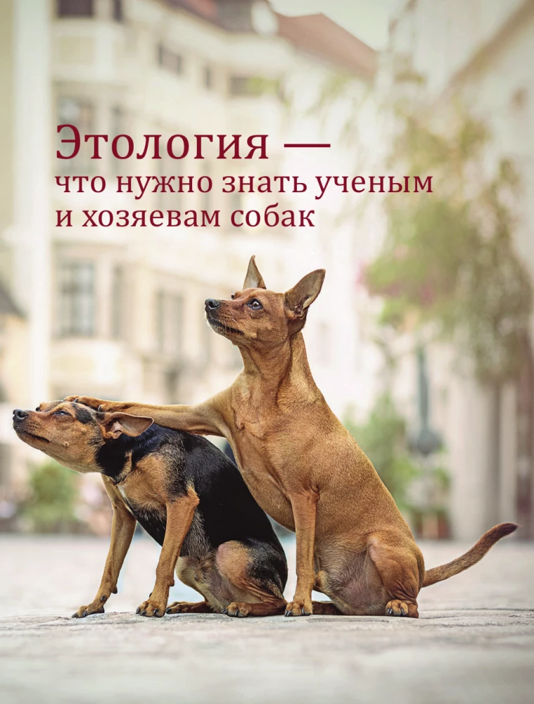 The Key to Your Dog's Character. How to Understand Your Pet's Thinking Through Play and Unleash Its Potential
