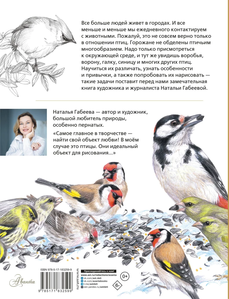 Vögel in der Stadt. 25 Geschichten in Fakten und Zeichnungen