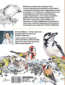 Vögel in der Stadt. 25 Geschichten in Fakten und Zeichnungen