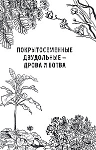 Botanika antropologa. Jak rośliny stworzyły człowieka. Kwiatki-owocowe