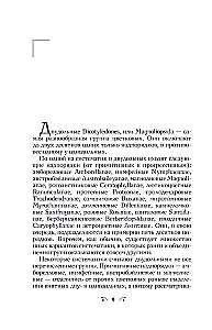 Botanika antropologa. Jak rośliny stworzyły człowieka. Kwiatki-owocowe