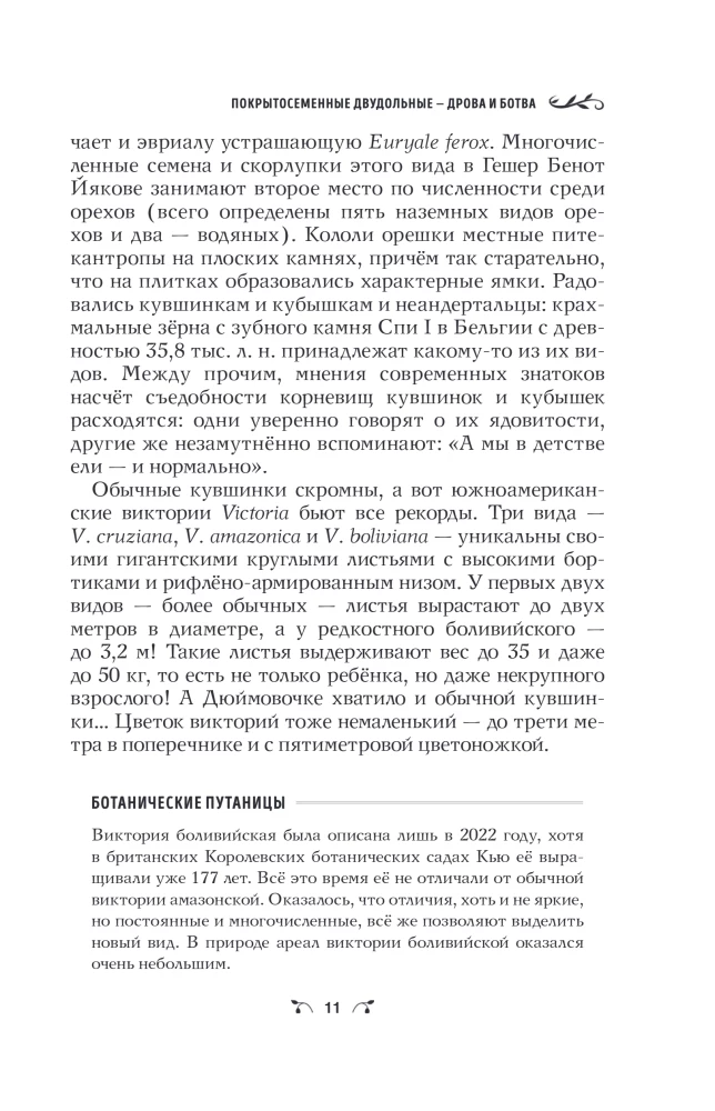 Botanika antropologa. Jak rośliny stworzyły człowieka. Kwiatki-owocowe