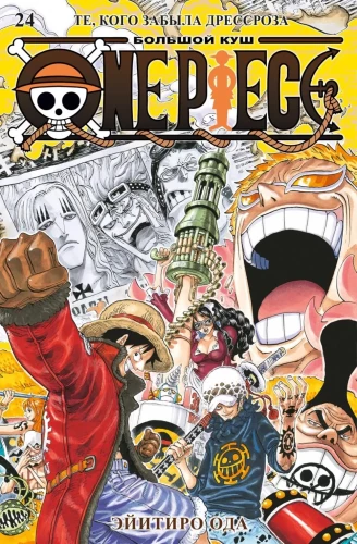 One Piece. Wielki łup. Książka 24. Ci, których zapomniała Dressrosa