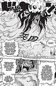 One Piece. Большой куш. Книга 24. Те, кого забыла Дрессроза