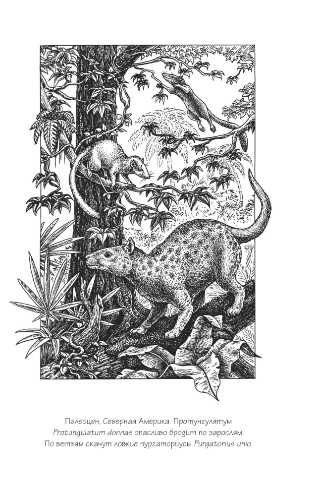 Why Giraffes Did Not Become Humans and Other Questions of Evolution