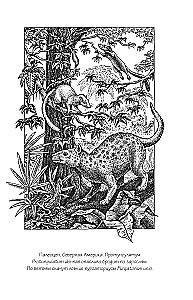 Why Giraffes Did Not Become Humans and Other Questions of Evolution