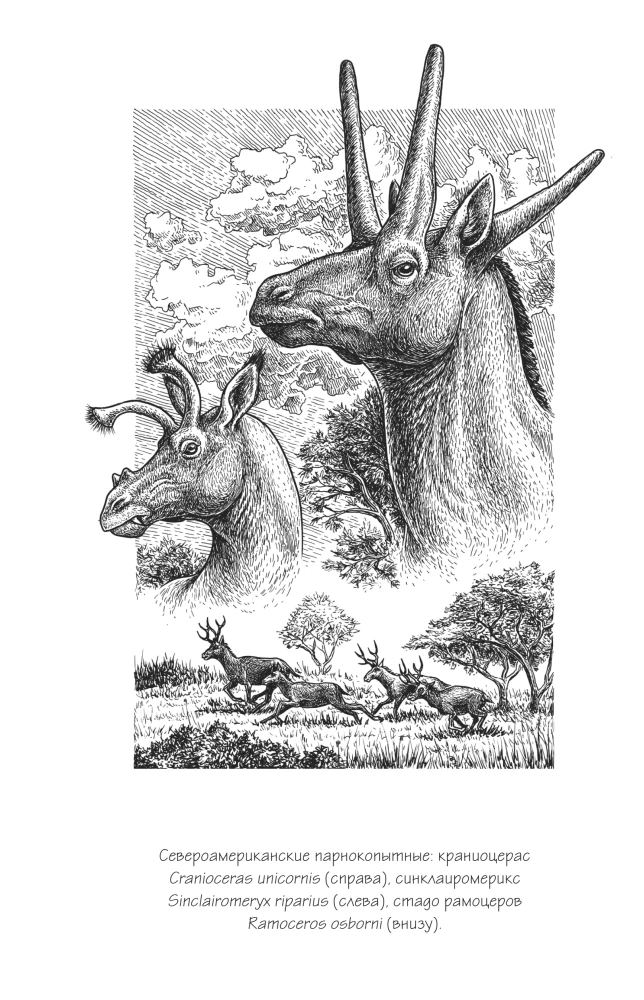 Why Giraffes Did Not Become Humans and Other Questions of Evolution