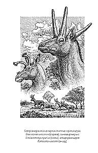 Why Giraffes Did Not Become Humans and Other Questions of Evolution