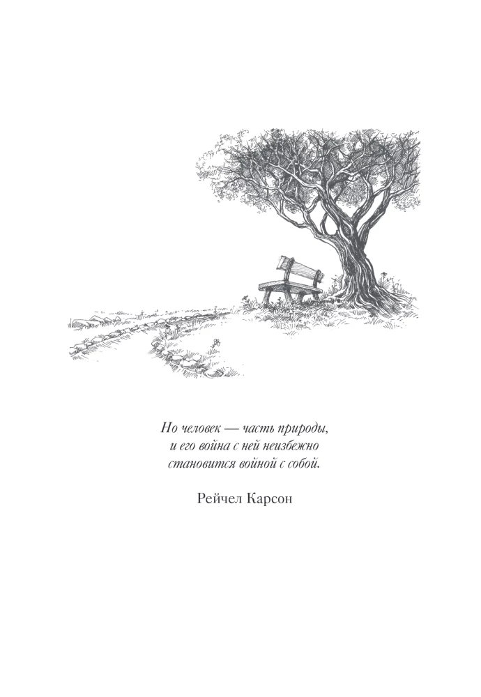 The Wisdom of the Forest. In Search of the Mother Tree and the Mysterious Connection of All Living Things