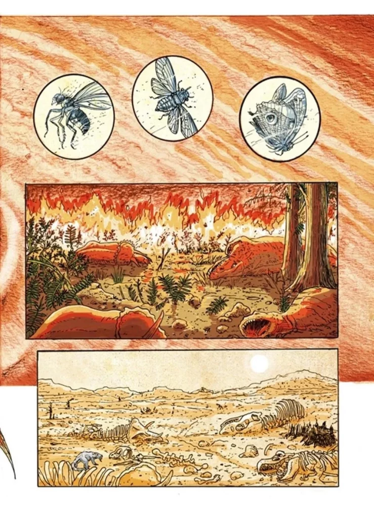 Insektenstadt. Die Geschichte der Insekten vom Urknall bis heute