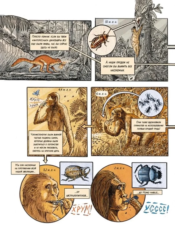 Insektenstadt. Die Geschichte der Insekten vom Urknall bis heute