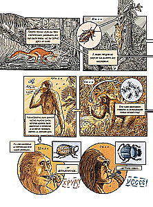 Insektenstadt. Die Geschichte der Insekten vom Urknall bis heute