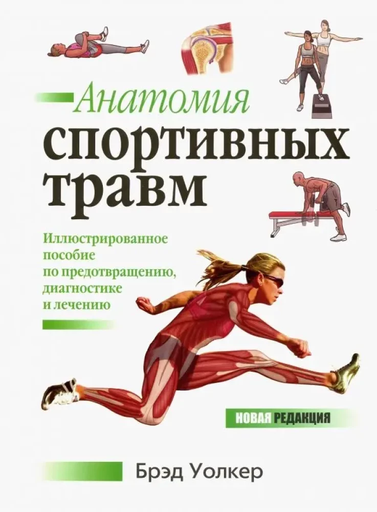 Anatomie von Sportverletzungen