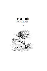 Wuthering Heights. Poetry