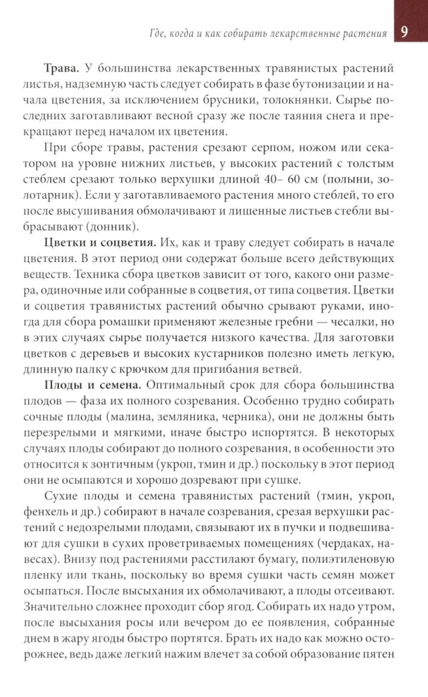 Medicinal Plants of the Central Strip of Russia. Identifier