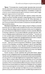 Medicinal Plants of the Central Strip of Russia. Identifier