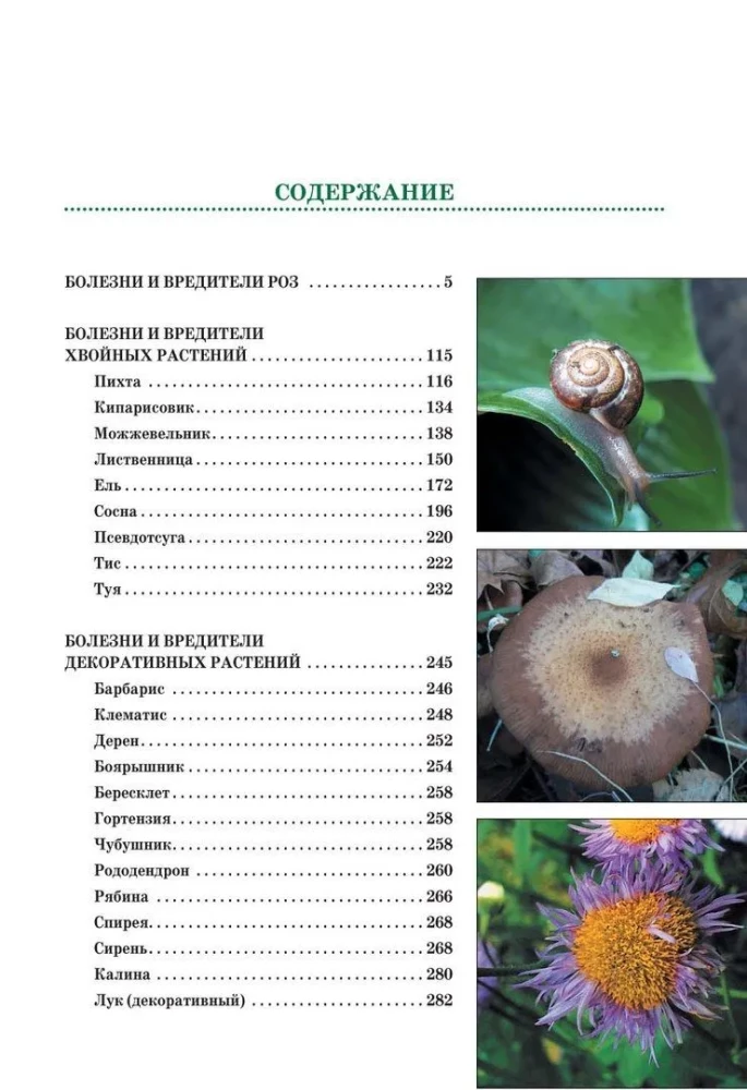 Krankheiten und Schädlinge von Rosen, Nadelbäumen und anderen Zierpflanzen: Atlas und Bestimmungsbuch
