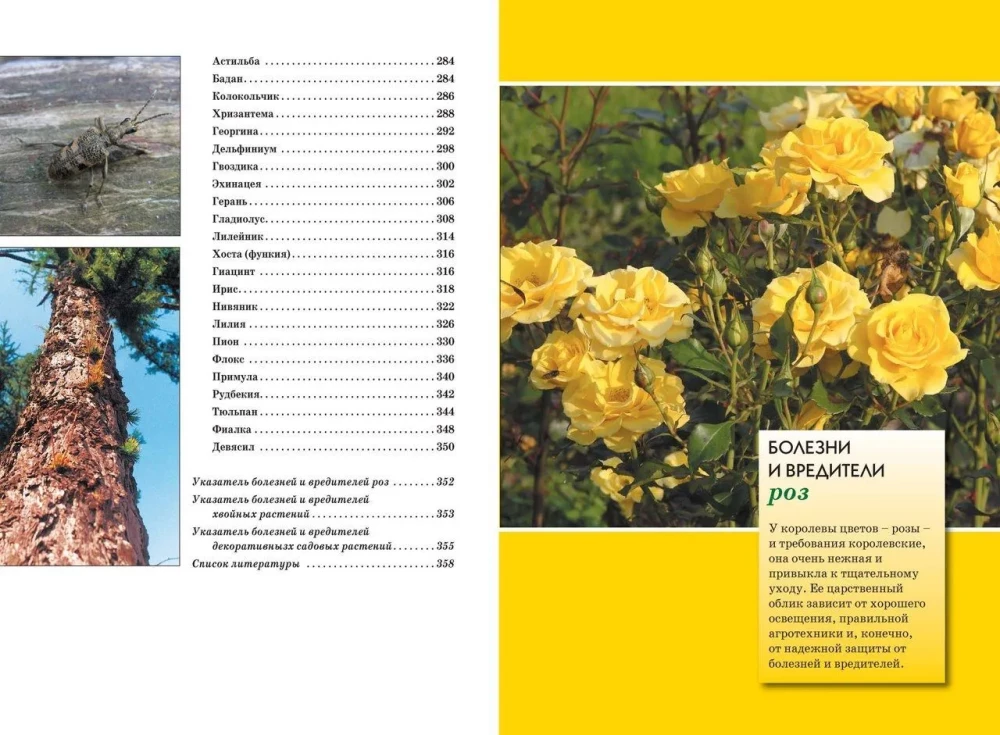 Krankheiten und Schädlinge von Rosen, Nadelbäumen und anderen Zierpflanzen: Atlas und Bestimmungsbuch