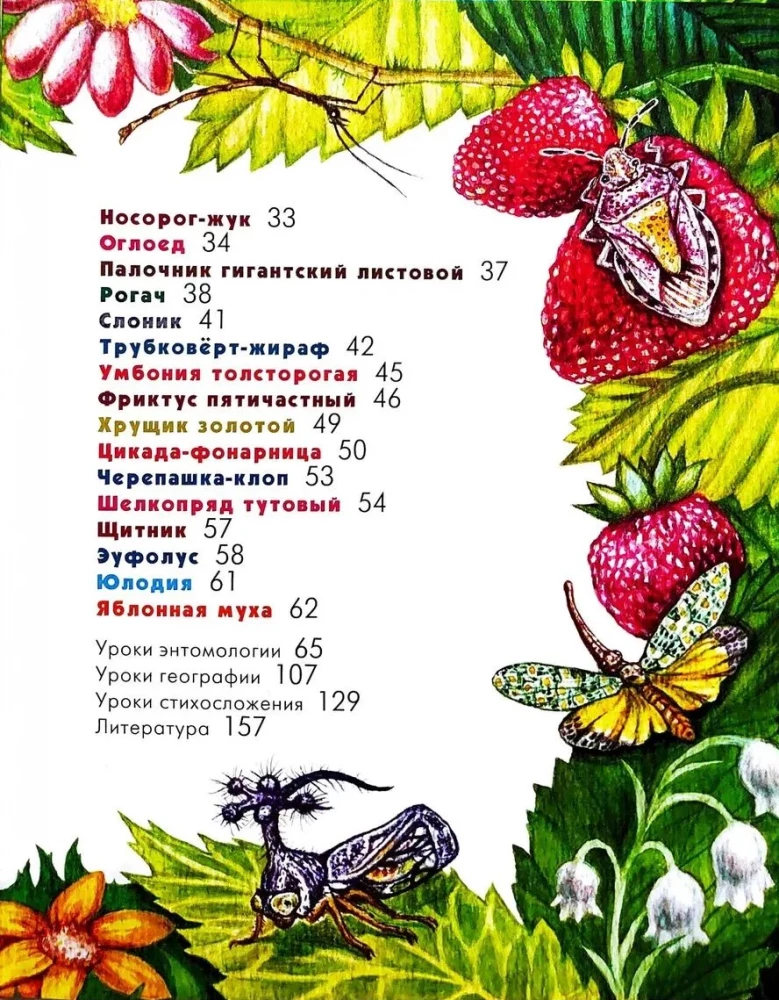 Alfabet niezwykłych owadów. Dla dorosłych i dzieci