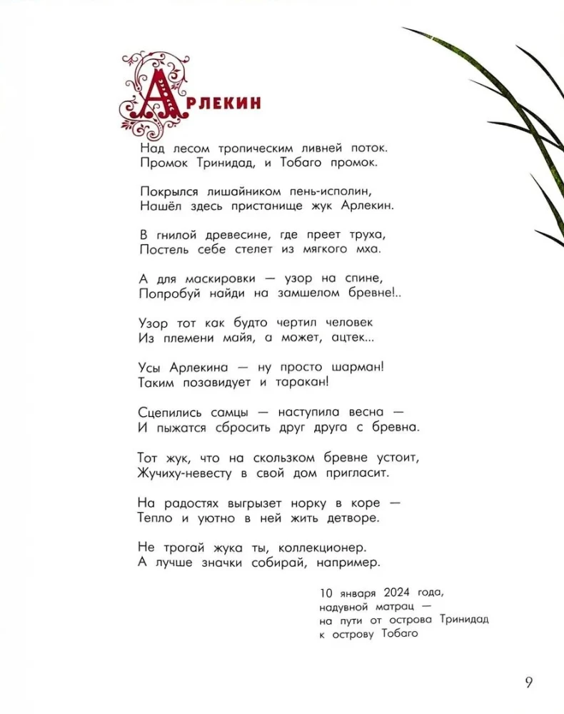 Alfabet niezwykłych owadów. Dla dorosłych i dzieci