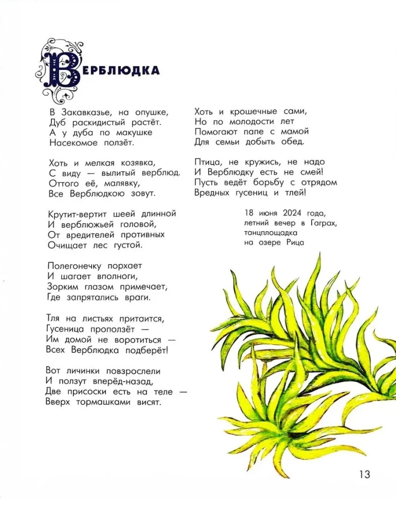 Alfabet niezwykłych owadów. Dla dorosłych i dzieci