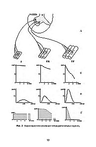 Development of Strength in Athletes