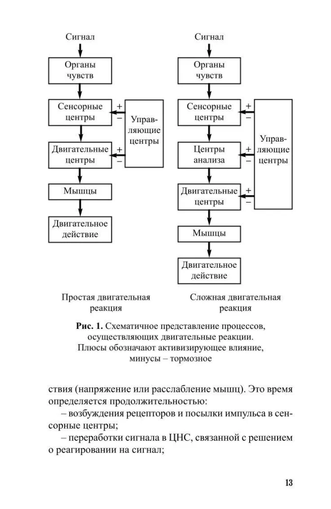 Development of Speed in Athletes