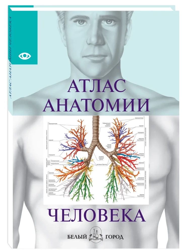 Cilvēka anatomijas atlants