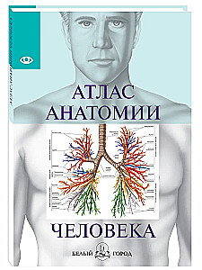 Cilvēka anatomijas atlants