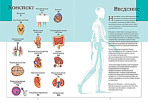 Cilvēka anatomijas atlants