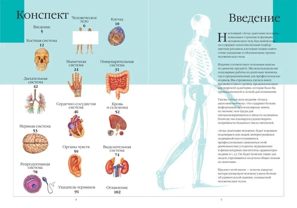 Cilvēka anatomijas atlants
