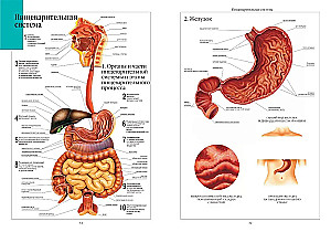 Cilvēka anatomijas atlants