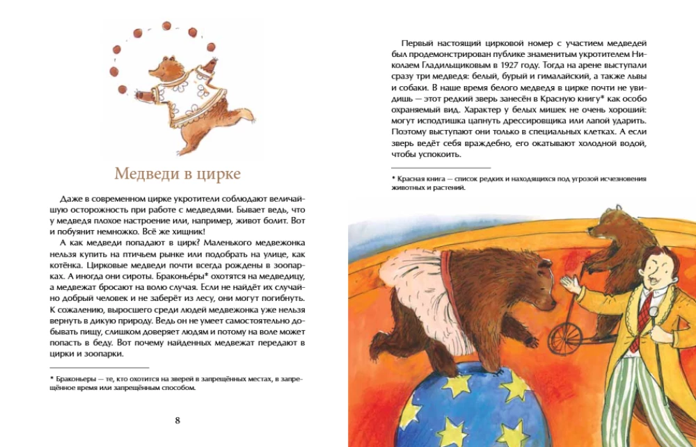 Мишка. Самый русский зверь