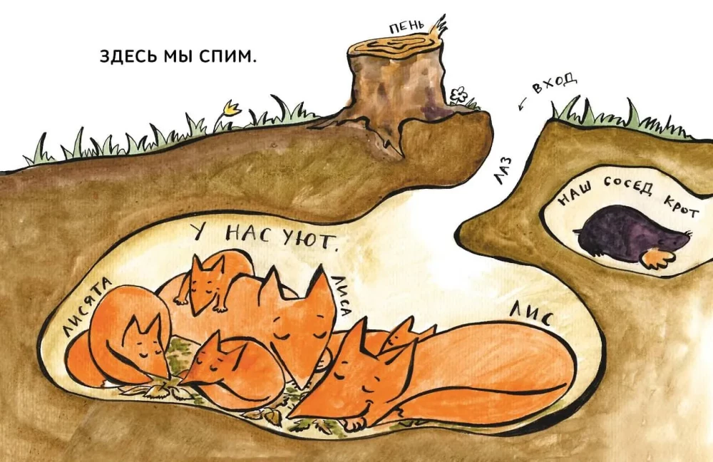 A jednak sam! Opowiadania do pierwszego czytania. Poziom 3