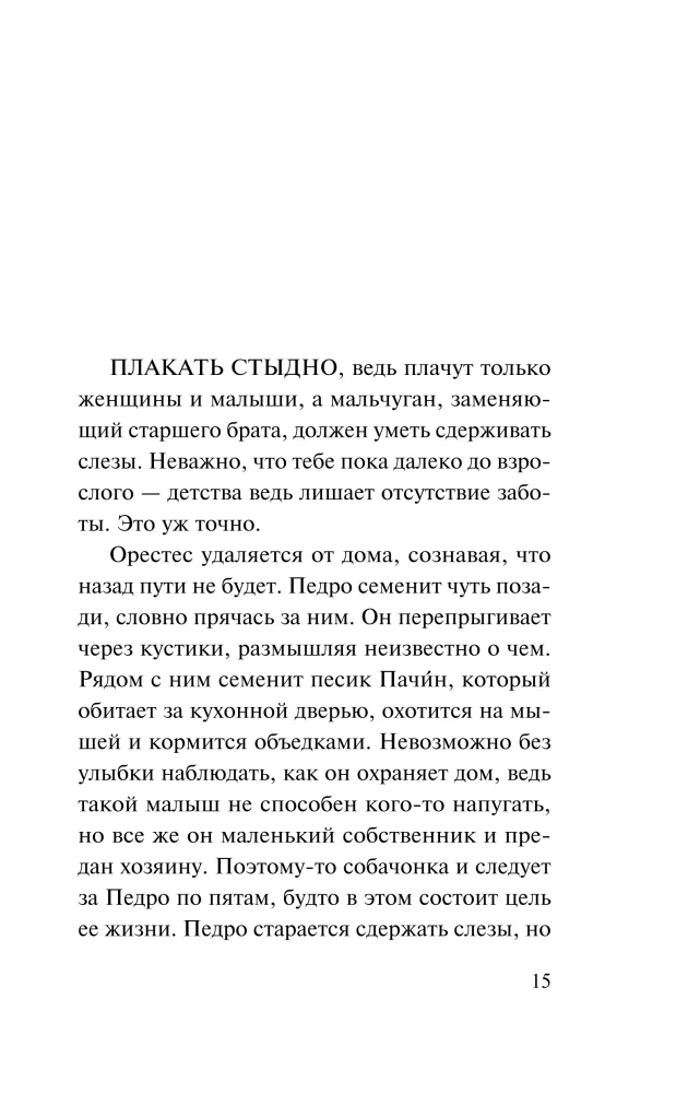 Bitter Sugar — photo 10